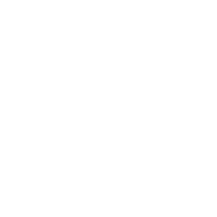 Icon_API Transformation